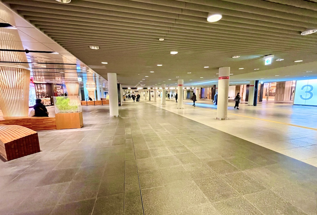 札幌駅前通地下歩行空間「チカホ」直結 “グルメビル” のおすすめ店！