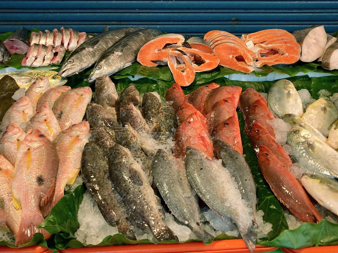 札幌の寿司店で食べる「道産魚」おすすめの店を厳選ご紹介！