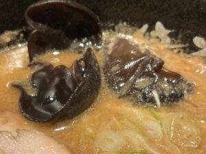 食感の良い「キクラゲ」