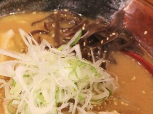丁寧に刻まれたネギとキクラゲ
